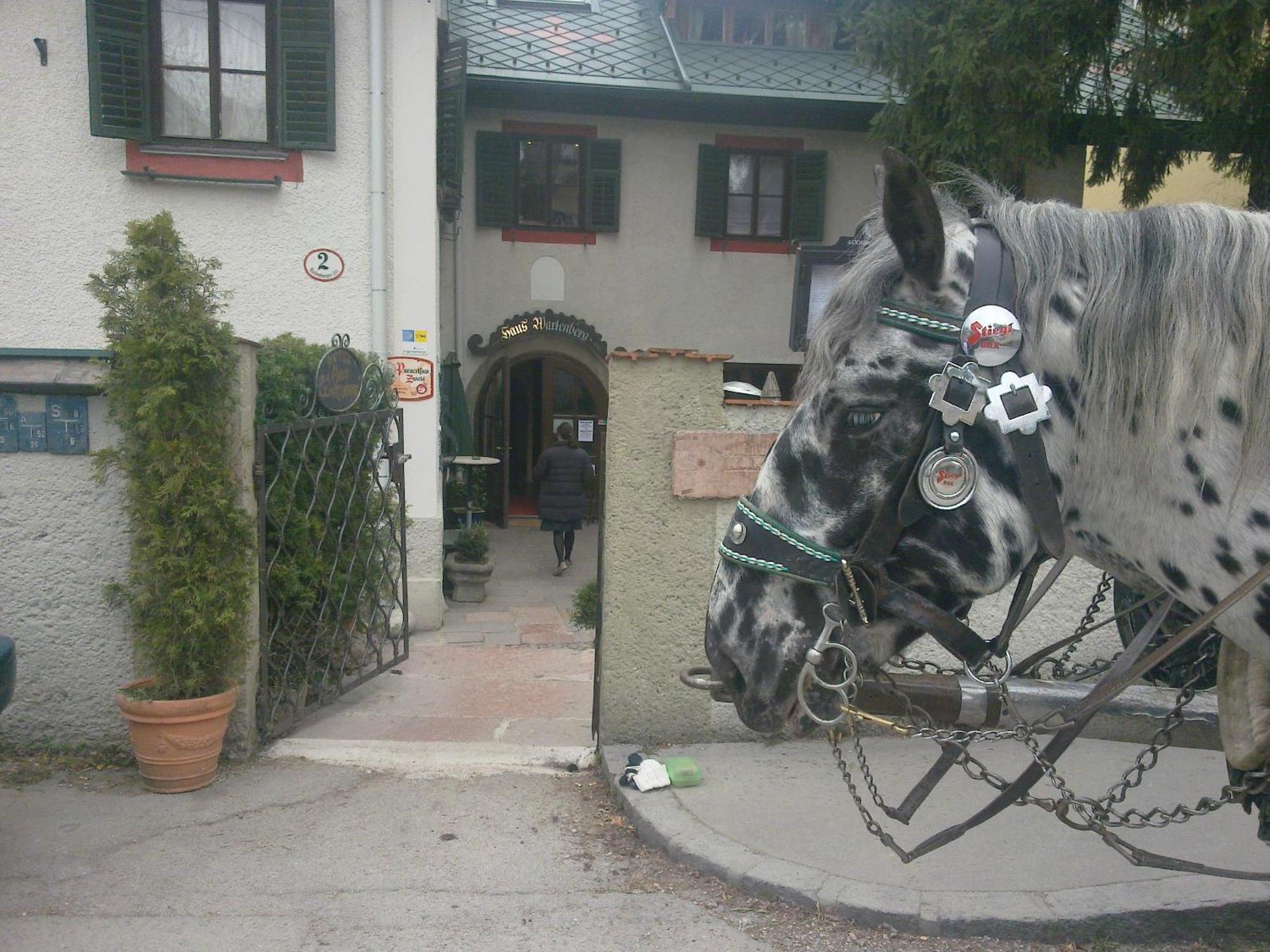 Haus Wartenberg Hotel Salzburg Luaran gambar